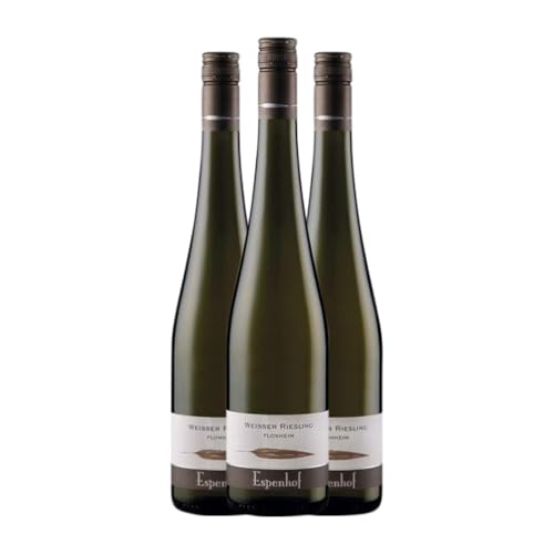 Espenhof Flonheimer Weisser Riesling Trocken Rheinhessen 75 cl Weißwein (Karton mit 3 Flaschen von 75 cl) von Espenhof