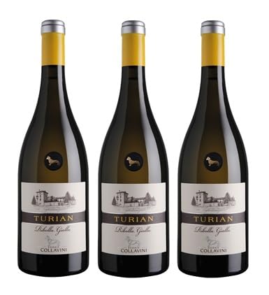 3x 0,75l - 2020er - Eugenio Collavini - Turian - Ribolla Gialla - Friuli Colli Orientali D.O.P. - Friaul - Italien - Weißwein trocken von Eugenio Collavini