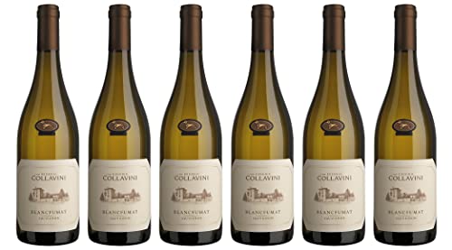 6x 0,75l - 2023er - Eugenio Collavini - Blancfumat - Sauvignon Blanc - Collio D.O.P. - Friaul - Italien - Weißwein trocken von Eugenio Collavini