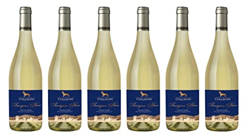 6x 0,75l - 2023er - Eugenio Collavini - Sauvignon Blanc - Venezia Giulia I.G.P. - Friaul - Italien - Weißwein trocken von Eugenio Collavini