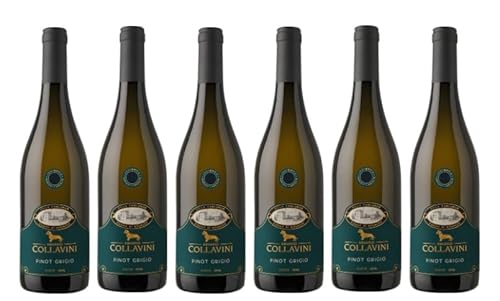 6x 0,75l - 2023er - Eugenio Collavini - Villa Canlungo - Pinot Grigio - Collio D.O.P. - Friaul - Italien - Weißwein trocken von Eugenio Collavini