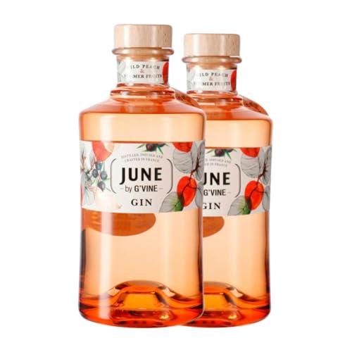 Gin G'Vine June Melocotón 70 cl (Karton mit 2 Flaschen von 70 cl) von EuroWineGate EWG SaS G-Vine