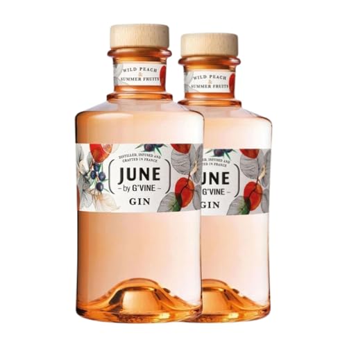 Gin G'Vine June Wild Peach & Summer Fruits Gin 70 cl (Karton mit 2 Flaschen von 70 cl) von EuroWineGate EWG SaS G-Vine