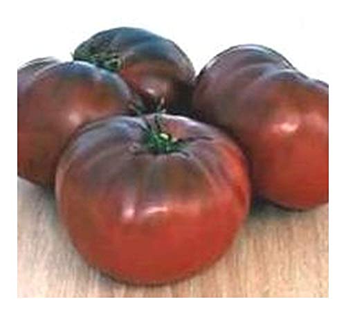 Tomate Brandywine Black Organic - Fleischtomate dunkelrot-dunkelviolett - 10 Samen von Exotic Plants