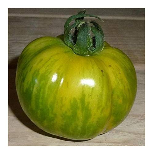 Tomate Green Zebra - Tomate grünes Zebra - Tomaten Samen - 15 Samen von Exotic Plants