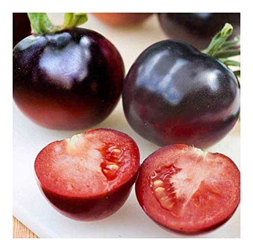 Tomate Indigo Rose - dunkelviolett-schwarze Tomate - 10 Samen von Exotic Plants