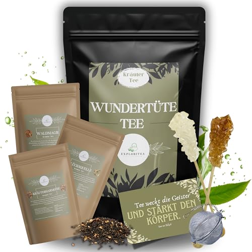 Tea Tasting Set Kräuter Tee - Tee Geschenkset mit 3 Kräutertees aus aller Welt, inkl. Teeei, Luxuriöses Tee Probierset, Wundertüte Geschenktüte Kräutertee, Geschenk Set mit 3 Kräuter Tees von Exploritea