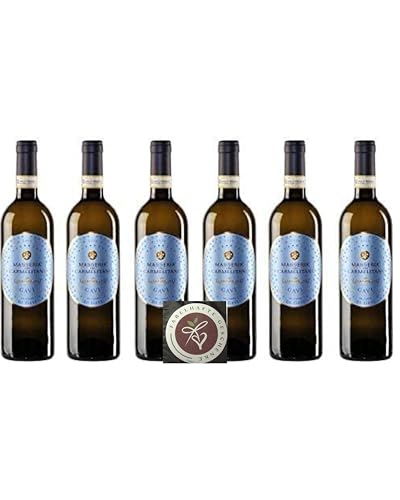 6er Vorteilspaket Gavi di Gavi Masseria dei Carmelitani 2024 | Vite Colte | Weißwein aus Piemont | trocken | 6 x 0,75l | mit Drop Stop Weinausgießer FABELHAFTE GESCHENKE von FABELHAFTE GESCHENKE