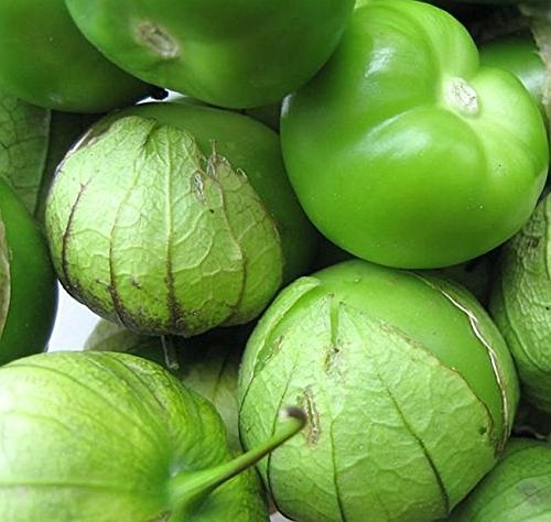 Portal Cool Samen Paket: 10 - Samen: Giant Tomatillo - Für traditionelle grüne Salsasauce! Ausgezeichnetes ! von FASH LADY