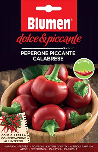 Portal Cool Samen Paket: Gemüse Bild Packet Sweet And Spicy Paprika-Pfeffer Piccante Spicy Calabrese von FASH LADY