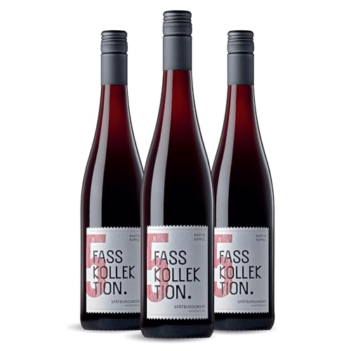 FASSKOLLEKTION No. 5 Spätburgunder Rotwein - Rotwein trocken, beerig, kräftig - deutscher Qualitätswein, Badischer Wein vom Anbaugebiet Oberrotweil am Kaiserstuhl (3 x 0,75 l) von FASSKOLLEKTION