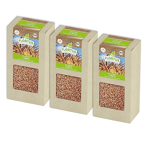 FLORTUS BIO Dinkel Getreide Samen 600g | Alte Sorten Urgetreide zur Herstellung von Dinkelmehl Nudeln Brot Müsli & Microgreens | Sprossen Samen von FLORTUS Freude an Vielfalt