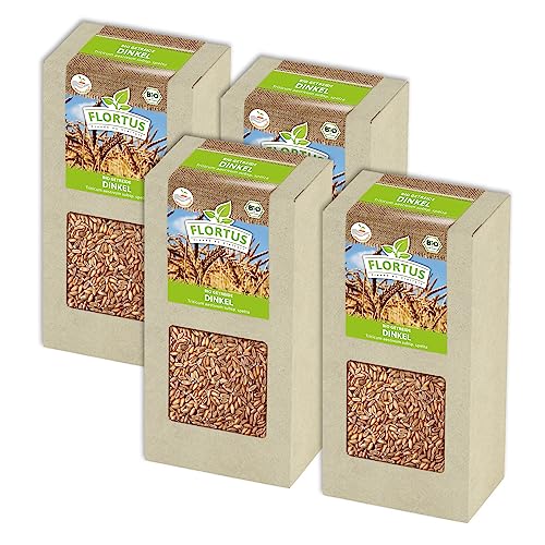 FLORTUS BIO Dinkel Getreide Samen 800g | Alte Sorten Urgetreide zur Herstellung von Dinkelmehl Nudeln Brot Müsli & Microgreens | Sprossen Samen von FLORTUS Freude an Vielfalt