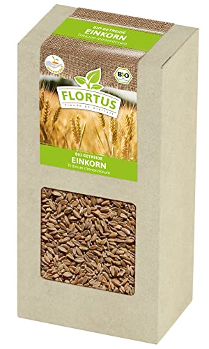 FLORTUS BIO Einkorn Getreide Samen 200g | Alte Sorten robustes Urgetreide zur Herstellung von Nudeln Brot Sauerteig & Microgreens | Sprossen Samen von FLORTUS Freude an Vielfalt