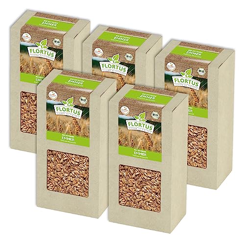 FLORTUS BIO Emmer Getreide Samen 1kg | Alte Sorten robustes Urgetreide zur Herstellung von Mehl Nudeln Brot Müsli & Microgreens | Sprossen Samen von FLORTUS Freude an Vielfalt