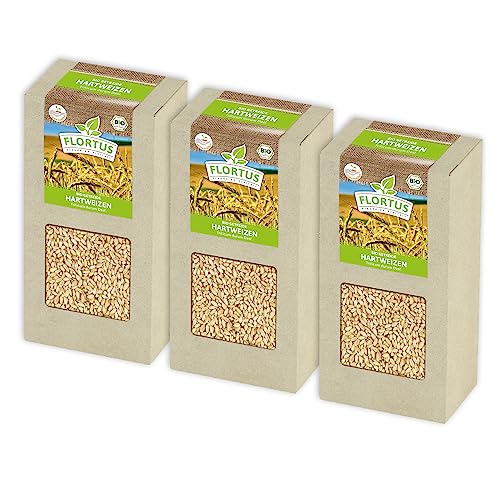 FLORTUS BIO Hartweizen Getreide Samen 600g | Weizen zur Herstellung von Weizenkleie Nudeln Couscous Smoothie Katzengras & Microgreens | Sprossen Samen von FLORTUS Freude an Vielfalt