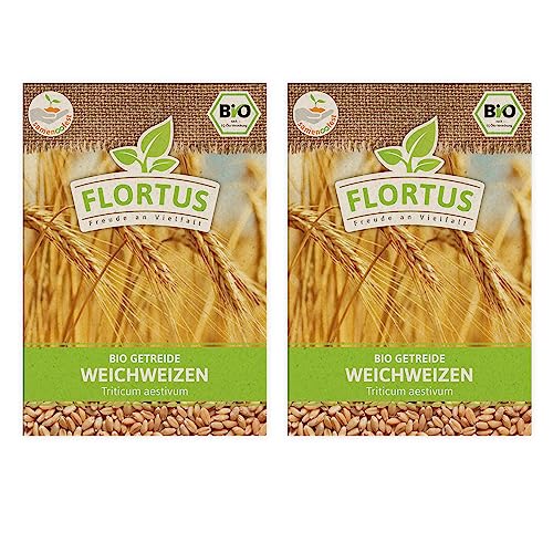 FLORTUS BIO Weichweizen Getreide Samen 150g | Ertragreicher Weizen zur Herstellung von Mehl Weizenkleie Katzengras & Microgreens | Sprossen Samen von FLORTUS Freude an Vielfalt