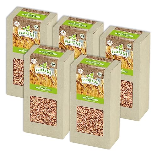 FLORTUS BIO Weichweizen Getreide Samen 1kg | Ertragreicher Weizen zur Herstellung von Mehl Weizenkleie Katzengras & Microgreens | Sprossen Samen von FLORTUS Freude an Vielfalt