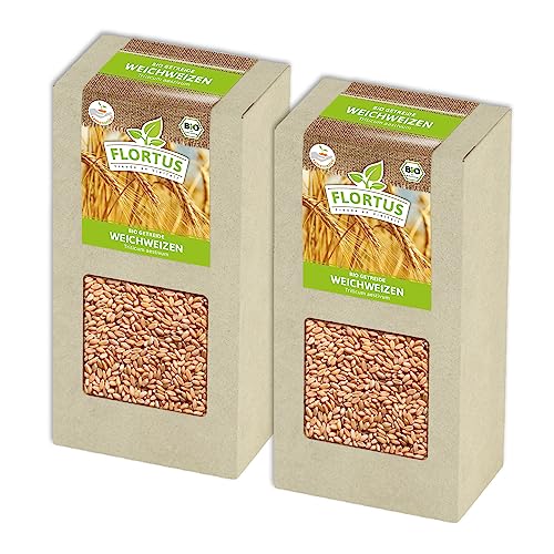 FLORTUS BIO Weichweizen Getreide Samen 400g | Ertragreicher Weizen zur Herstellung von Mehl Weizenkleie Katzengras & Microgreens | Sprossen Samen von FLORTUS Freude an Vielfalt