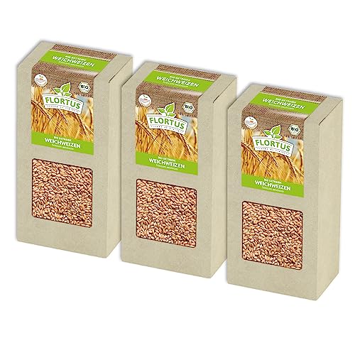 FLORTUS BIO Weichweizen Getreide Samen 600g | Ertragreicher Weizen zur Herstellung von Mehl Weizenkleie Katzengras & Microgreens | Sprossen Samen von FLORTUS Freude an Vielfalt