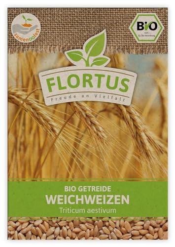 FLORTUS BIO Weichweizen Getreide Samen 75g | Ertragreicher Weizen zur Herstellung von Mehl Weizenkleie Katzengras & Microgreens | Sprossen Samen von FLORTUS Freude an Vielfalt