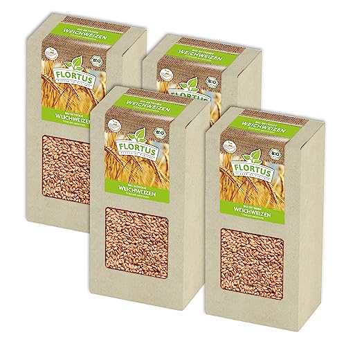 FLORTUS BIO Weichweizen Getreide Samen 800g | Ertragreicher Weizen zur Herstellung von Mehl Weizenkleie Katzengras & Microgreens | Sprossen Samen von FLORTUS Freude an Vielfalt