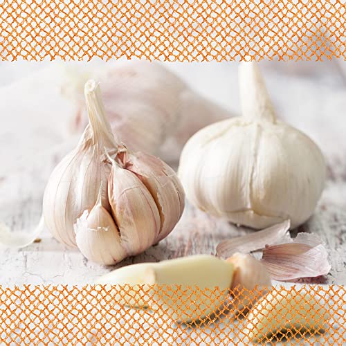 FLORTUS Winterpflanzknoblauch Messidrome | 20 kg | Steckzwiebelgröße 50-60 mm | Pflanzknoblauch für den Anbau von frischem und würzigem Knoblauch | Ideal für das Hochbeet und den Garten von FLORTUS Freude an Vielfalt