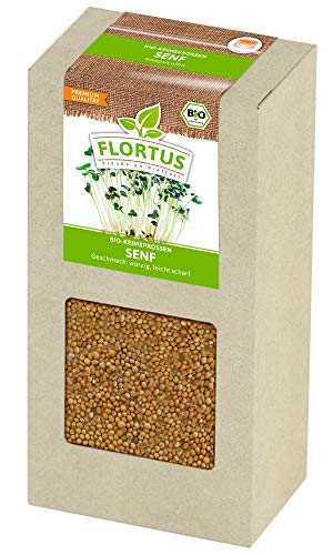 FLORTUS BIO Keimsprossen Senf (200 g) | Gesunde & leckere Keimsprossen | Sprossensaat | Keimsprossen | Keimsaaten von FLORTUS Freude an Vielfalt