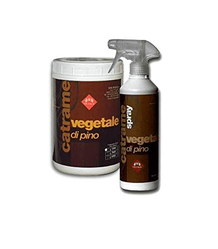 CATRAME VEG PINO 1000G von FM ITALIA GROUP