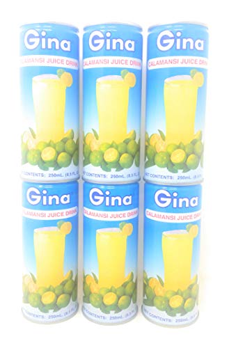 Gina Calamansi Saftgetränk, 250 ml, 6 Stück von FOXCUP