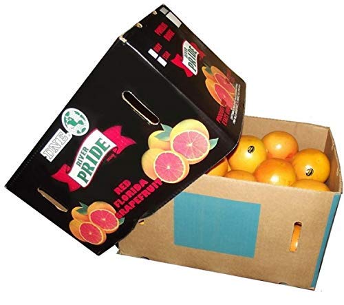 FRUCHTVERSAND24® Florida/ Texas Grapefruit (Star Ruby) Super Dark Red (15kg) von FRUCHTVERSAND24