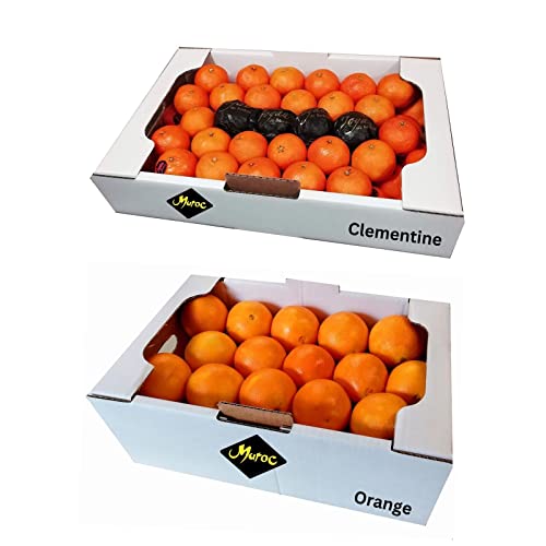 FRUCHTVERSAND24® Kleinkisten Mischung, Maroc Orange 7,5kg + Maroc Clementine 5kg, Original Maroc Südfrüchte, süß saftig lecker von FRUCHTVERSAND24