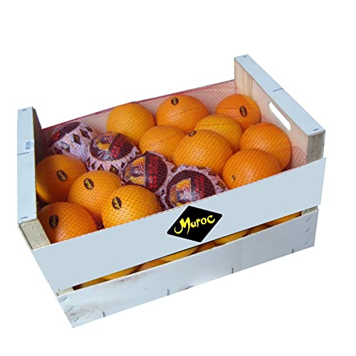 FRUCHTVERSAND24® Maroc Orangen (15kg) von FRUCHTVERSAND24