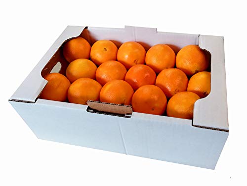 FRUCHTVERSAND24® Maroc Orangen 7,5kg von FRUCHTVERSAND24