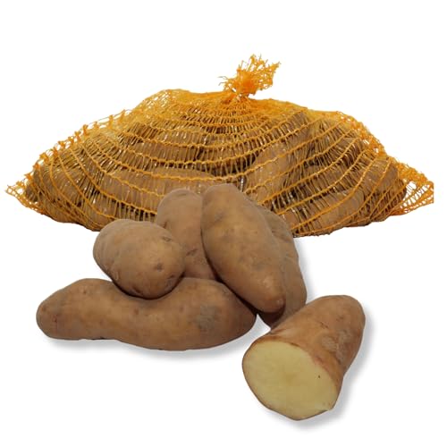 FRUCHTVERSAND24® Speisekartoffeln Hörnchenkartoffel "Bamberger Art", 10kg, festkochend, Handelsklasse EXTRA, Lüneburger Heide, unbehandelt und ungewaschen, fingerförmige Knollen von FRUCHTVERSAND24