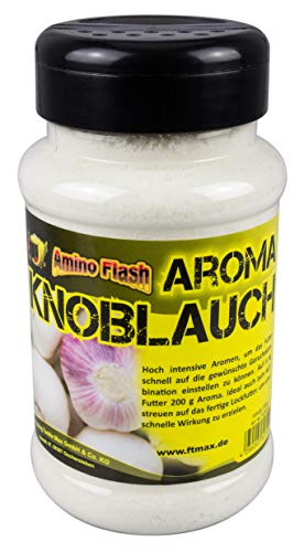 FTM Amino Flash Aroma Knoblauch 400ml Dose von FTM