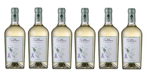 6x 0,75l - 2024er - Falesco - Tellus - Chardonnay - Lazio I.G.P. - Latium - Italien - Weißwein trocken von Falesco