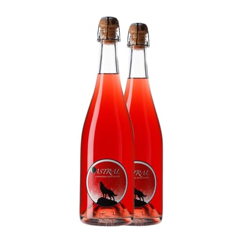 Nin-Ortiz Astral Ancestral Rosat 75 cl Rosé-Wein (Karton mit 2 Flaschen von 75 cl) von Família Nin-Ortiz