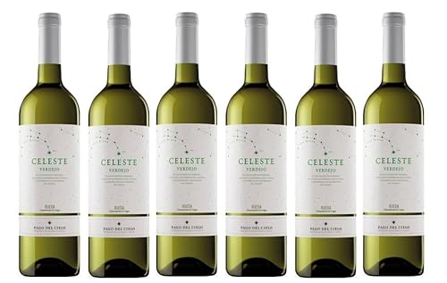 6x 0,75l - 2023er - Miguel Torres - Celeste - Verdejo - Rueda D.O.P. - Spanien - Weißwein trocken von Familia Torres