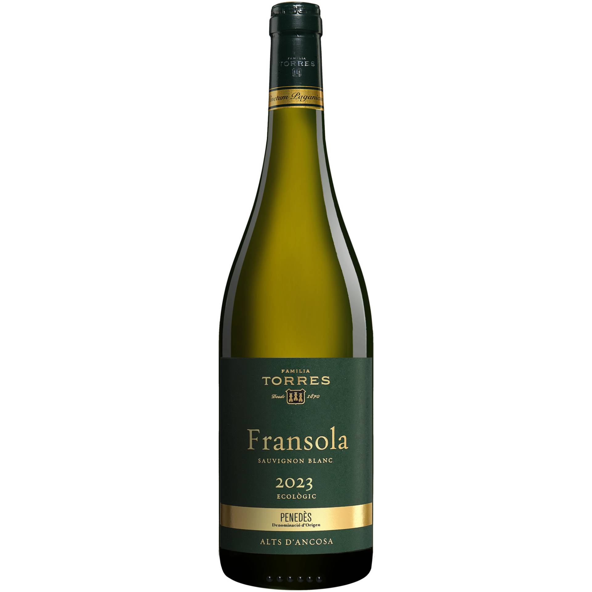 Torres »Fransola« 2023  0.75L 12.5% Vol. Weißwein Trocken aus Spanien von Familia Torres