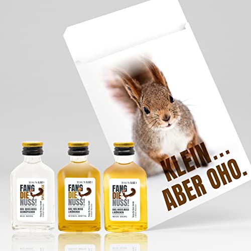 Fang die Nuss! | 6-teiliges Mini Geschenk-Set "KLEIN...ABER OHO." | Haselnusslikör + Haselnuss Schnaps + Walnuss Likör + Aufkleber + Gutschein | Probier-Box Eichhörnchen von Fang die Nuss