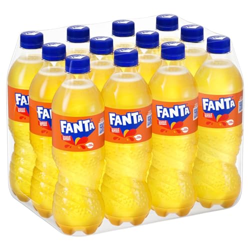 HAUSTIER 12 STCK. X 450ML von Fanta