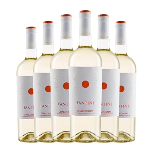 Fantini Chardonnay 75 cl Weißwein (Karton mit 6 Flaschen von 75 cl) von Fantini