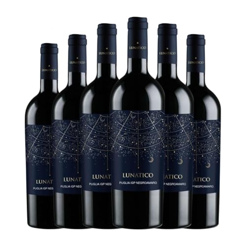 Fantini Lunatico Negroamaro 75 cl Rotwein (Karton mit 6 Flaschen von 75 cl) von Fantini