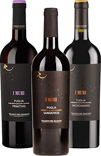 VINELLO 3er Winzer Kennenlernpaket - I Muri Rotweine von Vigneti del Salento mit einem VINELLO.weinausgießer | 3 x 0,75 Liter von Farnese Vini