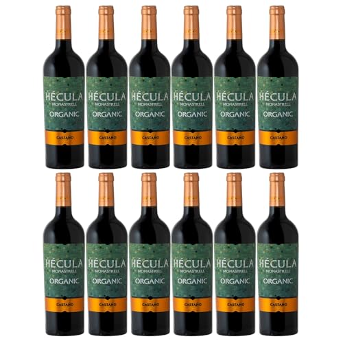 Bodegas Castaño Hécula Trocken Rotwein Bio Vegan Spanien inkl. FeinWert E-Book (12 x 0,75 l) von FeinWert