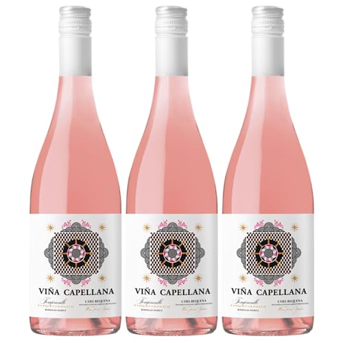 Bodegas Nodus Viña Capellana Rosado Trocken Roséwein Bio Spanien inkl. FeinWert E-Book (3 x 0,75 l) von FeinWert