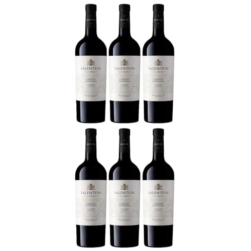 Bodegas Salentein Barrel Selection Cabernet Sauvignon Rotwein Wein Trocken Mendoza Argentinien inkl. FeinWert E-Book (6 x 0,75l) von FeinWert