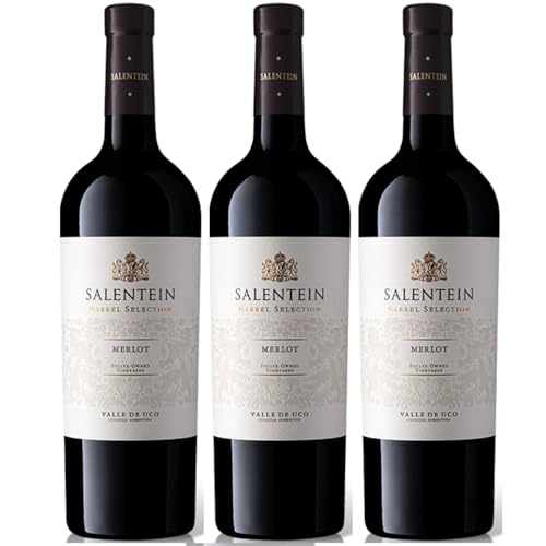 Bodegas Salentein Barrel Selection Merlot Rotwein Wein Trocken Mendoza Argentinien inkl. FeinWert E-Book (3 x 0,75l) von FeinWert