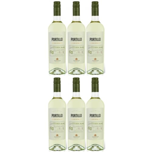 Bodegas Salentein Portillo Sauvignon Blanc Weisswein Wein Trocken Mendoza Argentinien inkl. FeinWert E-Book (6 x 0,75l) von FeinWert